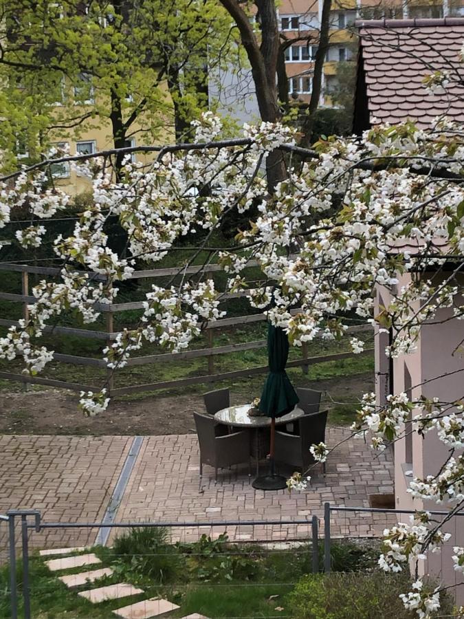 Forsthaus Zu Lichtenhof Nürnberg Kültér fotó